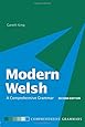 Modern Welsh: A Comprehensive Grammar (Routledge Comprehensive Grammars)