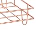 PAG Rose Gold Office Supplies 5 in 1 Desk Organizer Set - Hanging File Organizer, File Tray, Letter Sorter, Pencil Holder and Sticky Note Holder