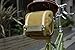 Brooks Isle of Wight Saddle Bag, Green/Honey, Medium