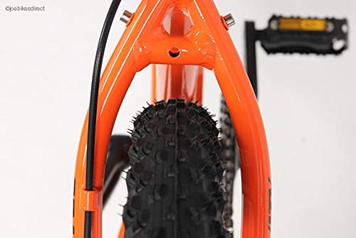 Gravity 29er Single Speed Clearance, 55 