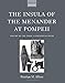 The Insula of the Menander at Pompeii: Volume III: The Finds, a Contextual Study by Penelope M. Allison