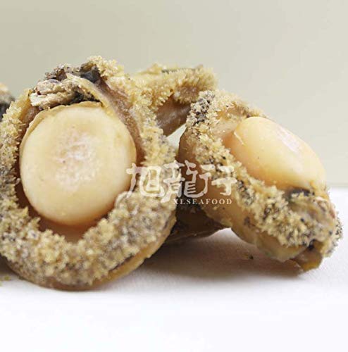 2 XLSEAFOOD+Haliotis+australis+14+18pc+%25E7%2589%25B9%25E7%25BA%25A7%25E5%258D%2597%25E9%259D%259E%25E6%25BA%258F%25E5%25BF%2583%25E5%25B9%25B2%25E9%25B2%258D%25E9%25B1%25BC