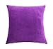 sykting Decorative Pillow Covers Solid Super Soft Short Plush Fuzzy Throw Pillow Covers for Bed Couch Chair Pack of 2 Square 18x18 inch Hot Pink