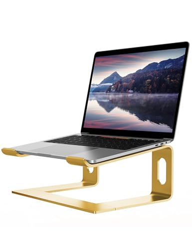 ALASHI Laptop-Ständer für Schreibtisch, Aluminium-Computer-Erhöhung, ergonomischer Notebook-Halter, Abnehmbarer Metall-Laptop-Laptop-Ständer, unterstü