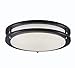 Surpars House LED Flush Mount Ceiling Light 4000K (Daylight Glow) 15W (60w Equivalent),12 Inch,Black