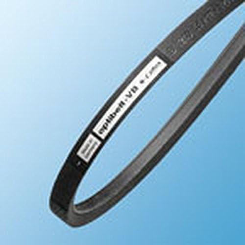 Optibelt10 x 2000 VB S = C Plus Z / 10 Classic V-Belts, DIN 2215, Z 79, 2000 mm Length