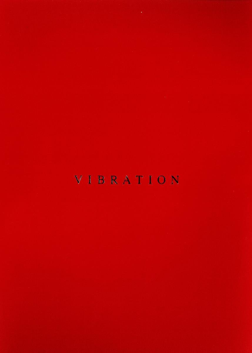 Vibration はなぜんフローリスト 本 通販 Amazon