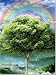 Four Seasons Tree 3D Poster Wall Art Decor Print | 14.5x18.5