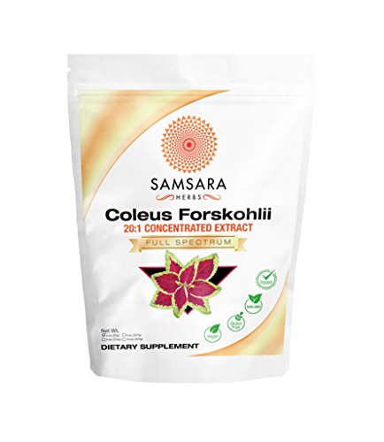 Coleus Forskohlii Root Extract Powder (2oz/57g) - 20:1 Concentration - Non- GMO, Weight Loss, Respiratory, Energy, Circulation, Digestion