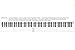 Color Piano Keyboard Stickers- Removable, Transparent, for White & Black Keys