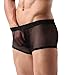 Mens Sexy Underwear Breathable Mesh Boxer Briefs See Through Hollow Lingerie