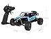 RC Cars, All Terrain Remote Control High-Speed Telecar, Offroad 2.4Ghz 2WD Remote Control Monster Truck, Best Christmas Gift for Kids and Adults(Blue)