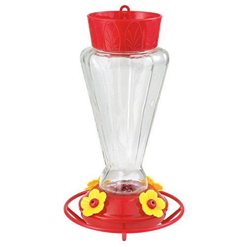 More Birds Hummingbird Feeder, Glass Hummingbird Feeders, Red, 4 Feeding Stations, 28-Ounce Nectar Capacity, Royal