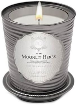 Aquiesse Moonlit Herbs Tin 11oz Portfolio Collection Scented Soy Candle
