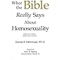 What the Bible Really Says about Homosexuality