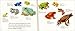 Why Frogs Are Wet (Let's-Read-and-Find-Out Science 2)
