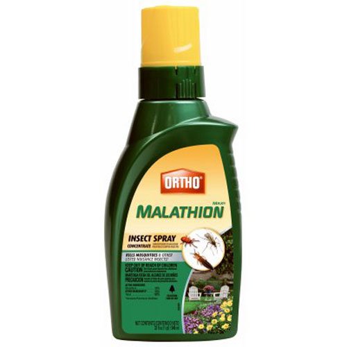 Ortho MAX Malathion Insect Spray - Image 2