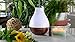 MAJESTIC PURE Essential Oil Diffuser - Advanced Aroma Diffuser with Strong Mist Output - Best Ultrasonic, Wider Area, Cool Mist Humidifier, Longer Run Times, BPA Safe and Automatic Safety Features