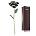 ZJchao Gold Rose Love Forever Long Stem Dipped 24k Rose Foil Trim, Gifts for Her (Black)