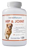 Salveo Petcare Glucosamine for Dogs 800mg Advanced - Hip and Joint Supplement with MSM Chondroitin and Vitamins C & E - 120 Beef Flavoured Chewable Tablets - Arthritis Pain Relief and Mobility