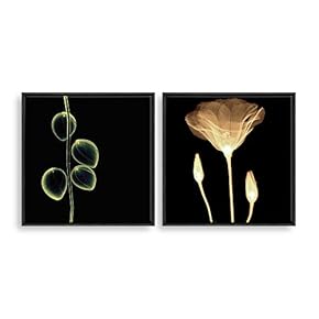 2 Piece Framed Canvas Home Artwork Decoration Transparent Flower Canvas Wall Art for Living Room, Bedroom - 16"x16"x2 Panels