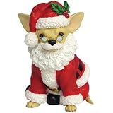 AYE CHIHUAHUA 
