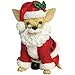 AYE CHIHUAHUA "SANTA"