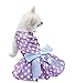 KOOLTAIL Dot Dog Dress for Small Dogs Cute Pet Clothes Dress Purple