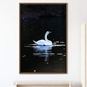 signwin Framed Canvas Wall Art Single Bird Birds...