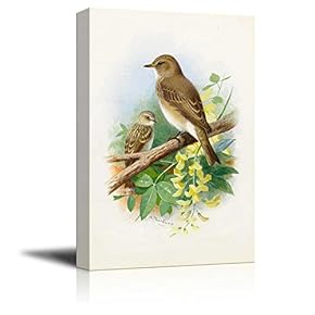 Illustration of 2 Birds Perched onto a Tree Branch - Canvas Art Home Art - 12x18 inches