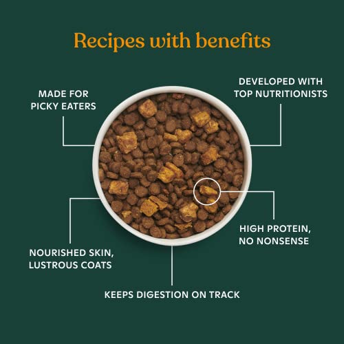 Made by Nacho Premium Dry Cat Food High Protein Kibble with Bone Broth