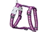 Red Dingo Designer Dog Harness, Medium, Daisy Chain Purple