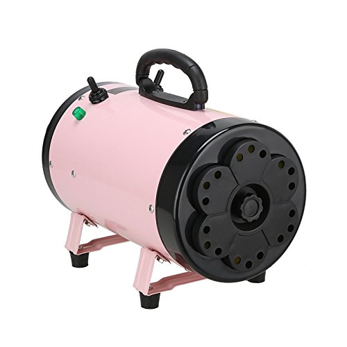 Top 10 Best Dog Grooming Dryers High Velocity Top Reviews No Place