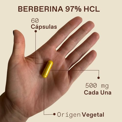 Unruled - Berberina 500mg Capsulas | Alta Pureza HCl al 97% | Suplemento Alimenticio Natural, Sin Rellenos | 60 Capsulas Veganas | Hasta 2 Meses de Consumo
