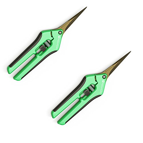 Happy Hydro 2 Pack Bud, Plant, and Flower Scissors with Titanium Straight Tip Blades for Trimming and Pruning