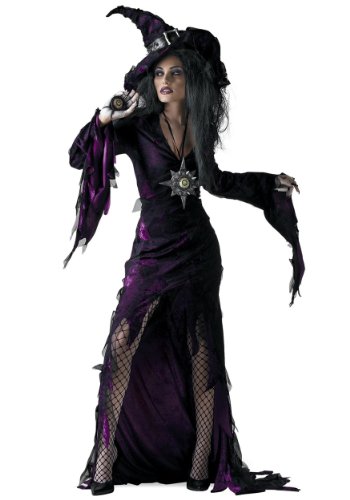 Disguise Women's Sorceress Costume