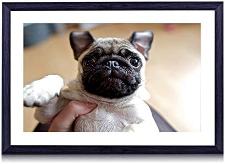 80cmx60cm 木製の黒色のフォトフレーム 犬パグ顔目赤ちゃん 壁掛け 壁飾り 壁