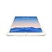 Apple iPad Air 2 MH1J2LL/A (128GB, Wi-Fi, Gold) (Renewed)