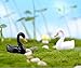 Smilesky Miniature Swan Figure Animal Bird Toys Fairy Garden Decorations White & Black 1