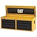 Cat 19-Drawer Ball-Bearing Tool Chest and Cabinet Combination, 52
