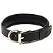 Logical Leather Padded Dog Collar - Best Full Grain Heavy Duty Genuine Leather Collar - Black - Medium