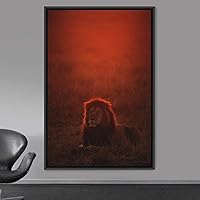Framed Canvas Wall Art Lions Animals Chic Dramatic Lion Living Room Multicolor Photography - 16x24 inches