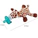 2-Pack Safe Infant Pacifiers, STAR-FLY No Toxicity Removable Pacifiers Holder with Stuffed Animal Toy Baby Orthodontic Nipples for Boy and Girl(Giraffe)