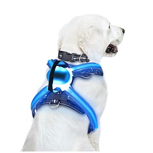 winsee dog harness