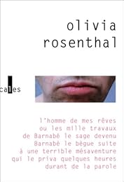 L' homme de mes rêves ou Les mille travaux de Barnabé le sage devenu Barnabé le bègue suite à une terrible mésaventure qui le priva quelques heures durant de la parole