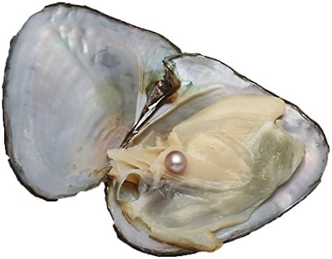 Cultured Freshwater Pearl Oyster with Pearl Inside Sold By PC 4 Colors for Choice (7-8mm)