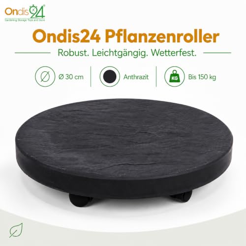 Ondis24 Pierre Plant Roller up to 150 kg, Flower Roller with Invisible Wheels, Furniture Roller, Pot Roller (Diameter 30 cm, Anthracite)