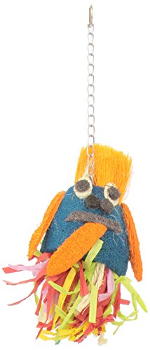 Super Pet Avian Medium Size Forage Friends Toy, Style Varies