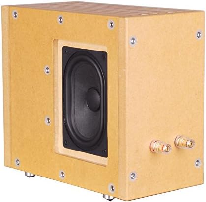 tang band passive radiator