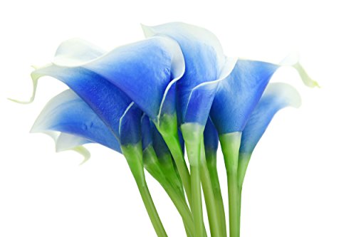 FiveSeasonStuff 10 Stems of Real Touch Calla Lillies (Latex) Artificial Flower Bouquet, Perfect for Wedding, Bridal, Party, Home Office Décor DIY (White & Blue)